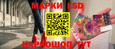 дмт Краснодар